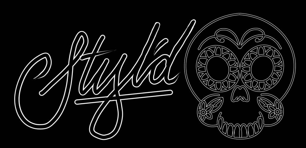 Styled logo